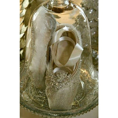 Decorative Pointe Shoes (1 Shoe only)